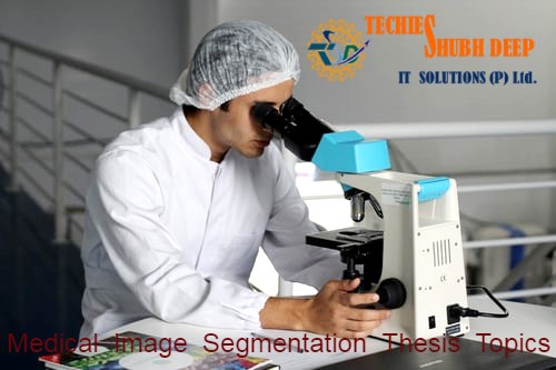 Medical Image Segmentation Thesis Topics