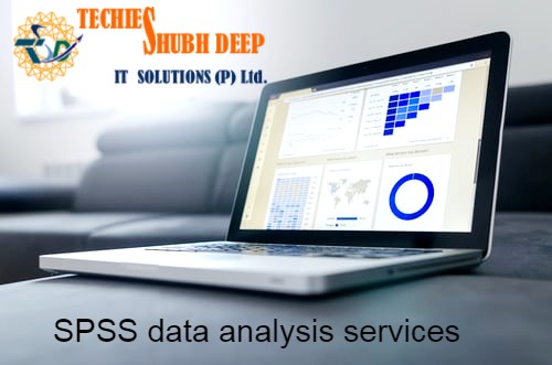 SPSS data analysis services in India