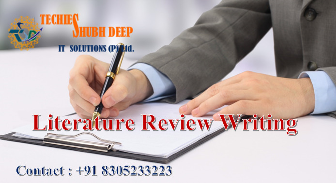 Literature Review Writing Services