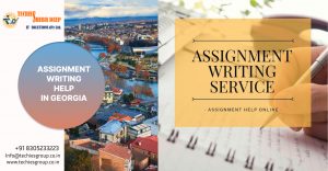 ASSIGNMENT WRITING HELP IN GEORGIA