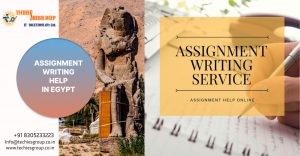 ASSIGNMENT WRITING HELP IN EGYPT