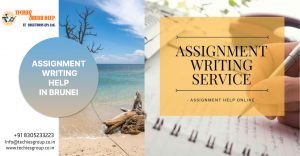 ASSIGNMENT WRITING HELP IN BRUNEI