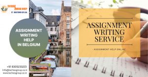 ASSIGNMENT WRITING HELP IN BELGIUM