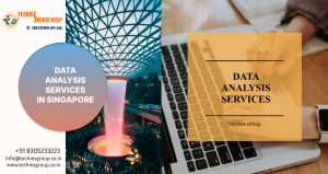 DATA ANALYSIS SERVICES IN SINGAPORE