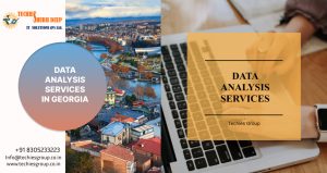 DATA ANALYSIS SERVICES IN GEORGIA