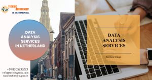 DATA ANALYSIS SERVICES IN NETHERLAND