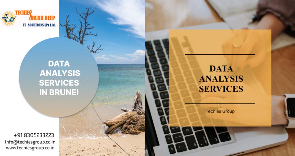 Data Analysis Services in Brunei