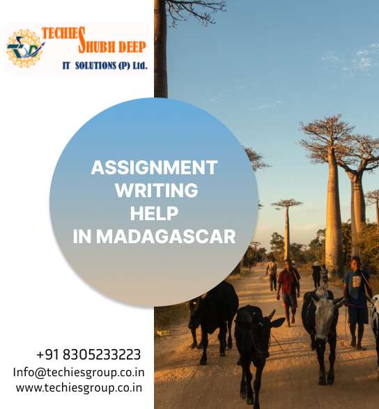 ASSIGNMENT WRITING HELP IN MADAGASCAR