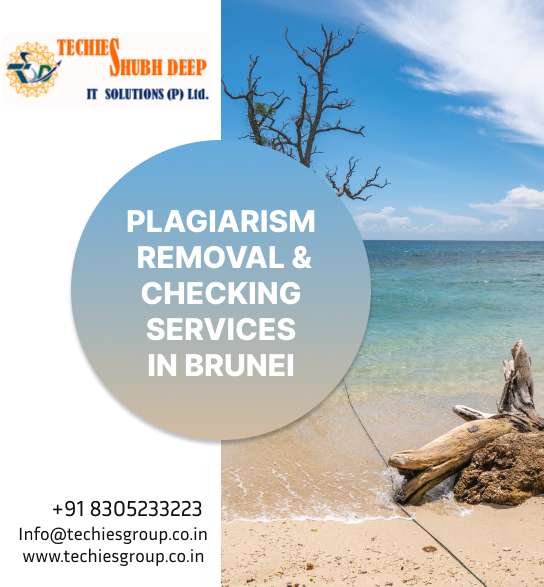 PLAGIARISM CHECKER AND REMOVAL SERVICES IN BRUNEI