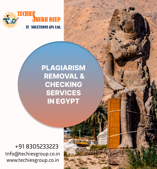 PLAGIARISM CHECKER AND REMOVAL SERVICES IN EGYPT