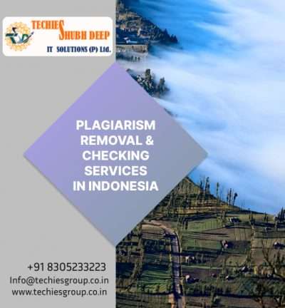PLAGIARISM CHECKER AND REMOVAL SERVICES IN INDONESIA
