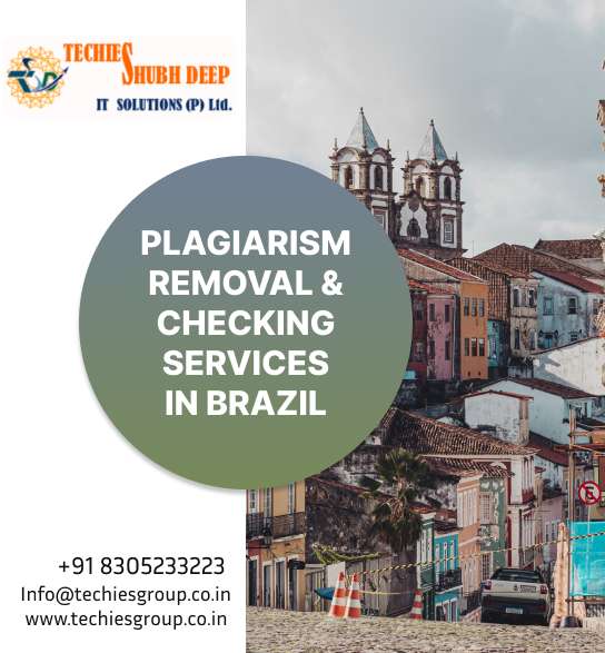 PLAGIARISM CHECKER AND REMOVAL SERVICES IN BRAZIL