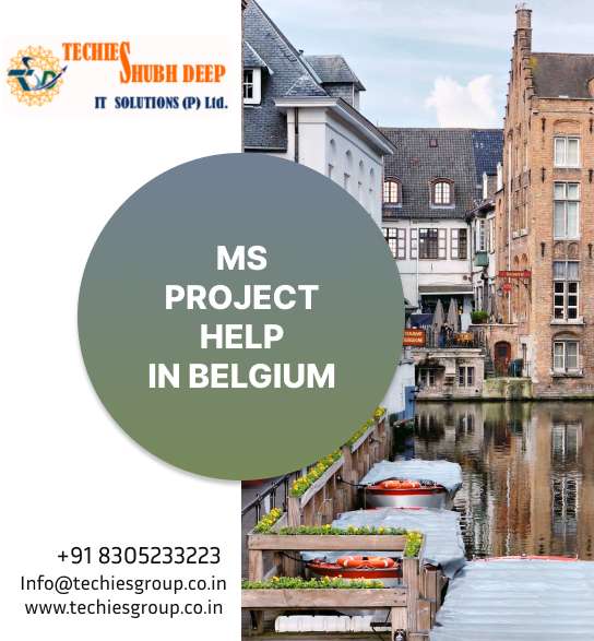 MS PROJECT HELP IN BELGIUM