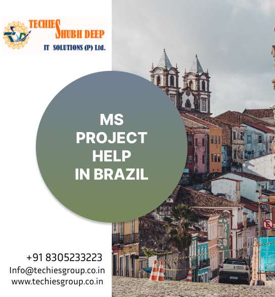 MS PROJECT HELP IN BRAZIL