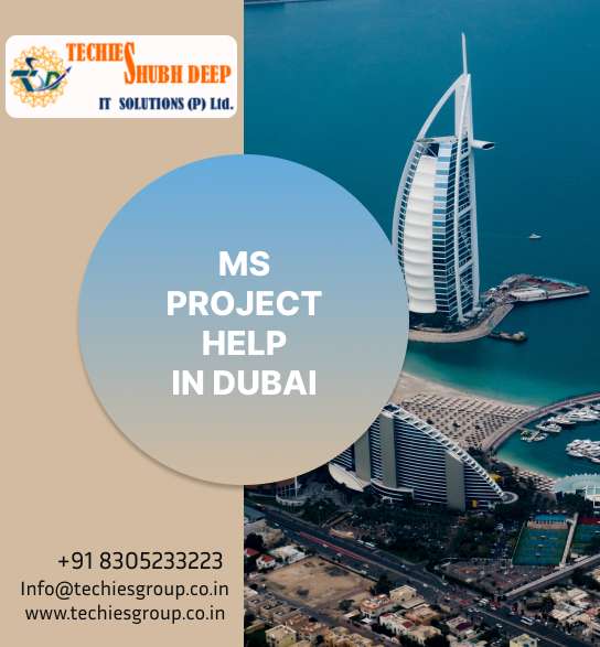 MS PROJECT HELP IN DUBAI