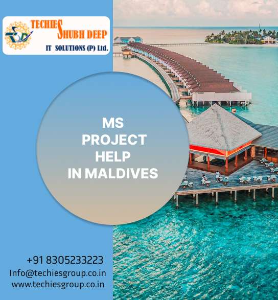 MS PROJECT HELP IN MALDIVES