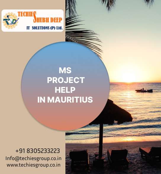 MS PROJECT HELP IN MAURITIUS
