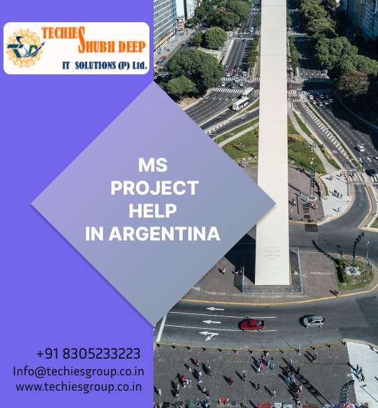 MS PROJECT HELP IN ARGENTINA