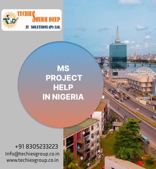 MS PROJECT HELP IN NIGERIA