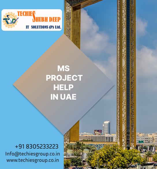 MS PROJECT HELP IN UAE