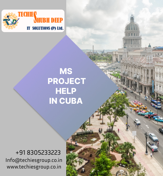 MS PROJECT HELP IN CUBA
