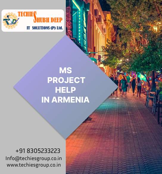 MS PROJECT HELP IN ARMENIA