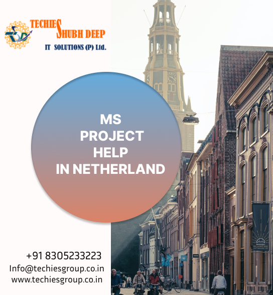 MS PROJECT HELP IN NETHERLAND