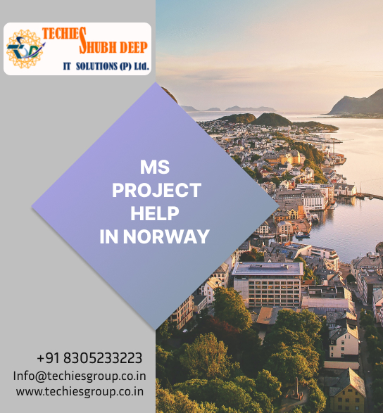 MS PROJECT HELP IN NORWAY