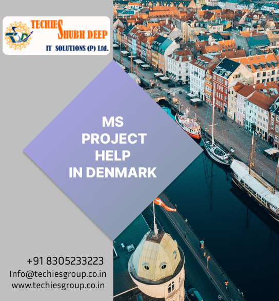 MS PROJECT HELP IN DENMARK