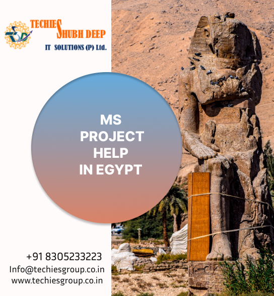 MS PROJECT HELP IN EGYPT