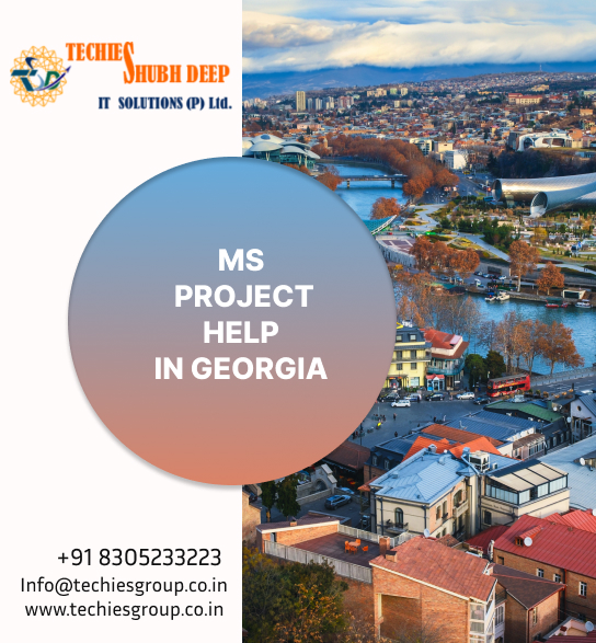 MS PROJECT HELP IN GEORGIA