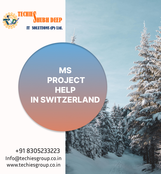 MS PROJECT HELP IN SWITZERLAND
