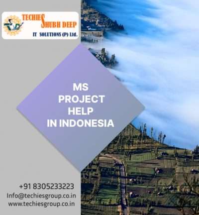MS PROJECT HELP IN INDONESIA