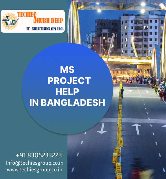 MS PROJECT HELP IN BANGLADESH