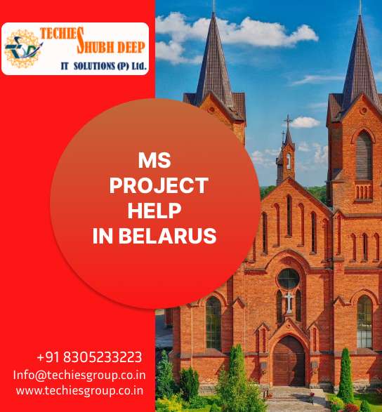 MS PROJECT HELP IN BELARUS
