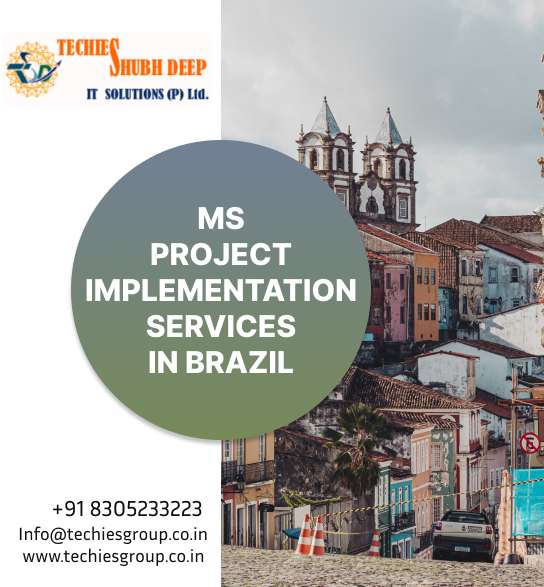 MS PROJECT IMPLEMENTS SERVICES IN BRAZIL