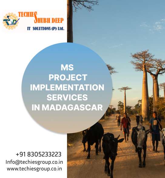 MS PROJECT IMPLEMENTS SERVICES IN MADAGASCAR