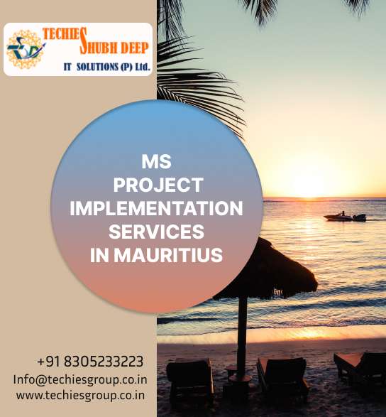  MS PROJECT IMPLEMENTS SERVICES IN MAURITIUS