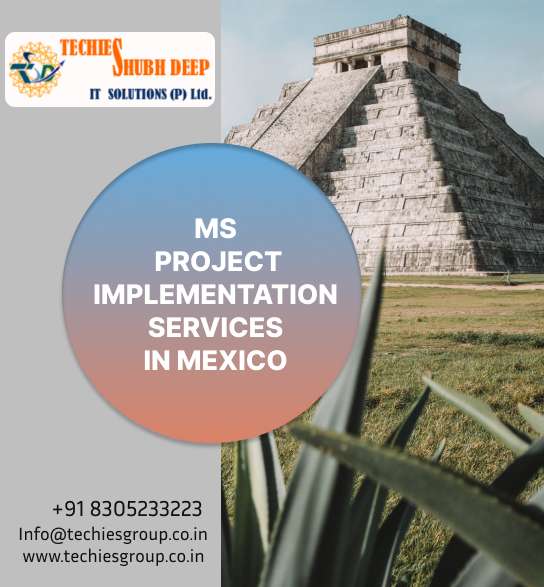 MS PROJECT IMPLEMENTS SERVICES IN MEXICO