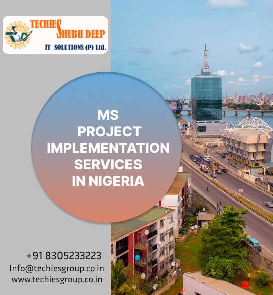 MS PROJECT IMPLEMENTS SERVICES IN NIGERIA