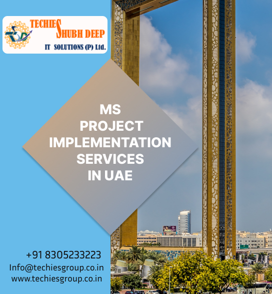 MS PROJECT IMPLEMENTS SERVICES IN UAE
