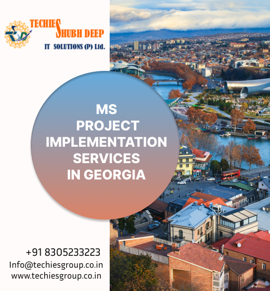 MS PROJECT IMPLEMENTS SERVICES IN GEORGIA