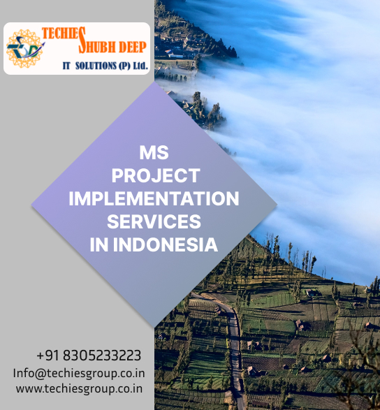 MS PROJECT IMPLEMENTS SERVICES IN INDONESIA