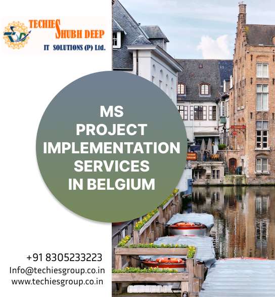 MS PROJECT IMPLEMENTS SERVICES IN BELGIUM