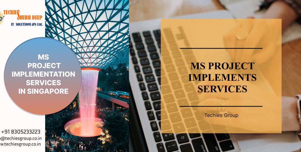 BEST MS PROJECT IMPLEMENTS SERVICES IN SINGAPORE