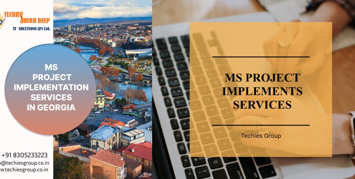 BEST MS PROJECT IMPLEMENTS SERVICES IN GEORGIA