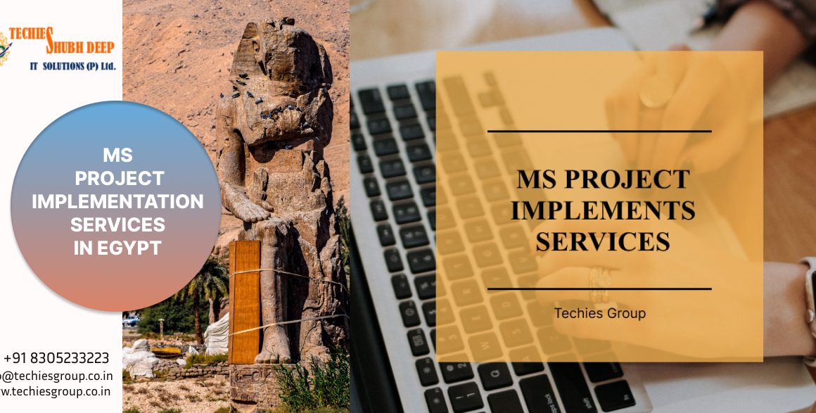 BEST MS PROJECT IMPLEMENTS SERVICES IN EGYPT