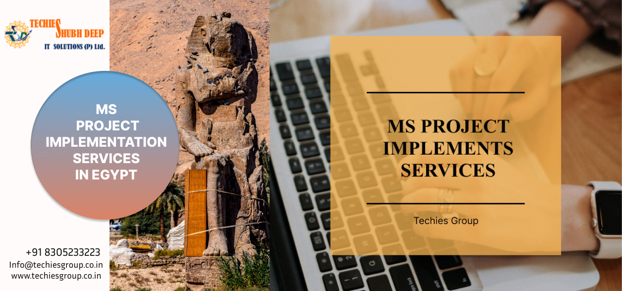 MS PROJECT IMPLEMENTS SERVICES IN EGYPT