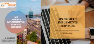 MS PROJECT IMPLEMENTS SERVICES IN NIGERIA