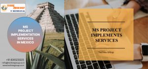 MS PROJECT IMPLEMENTS SERVICES IN MEXICO